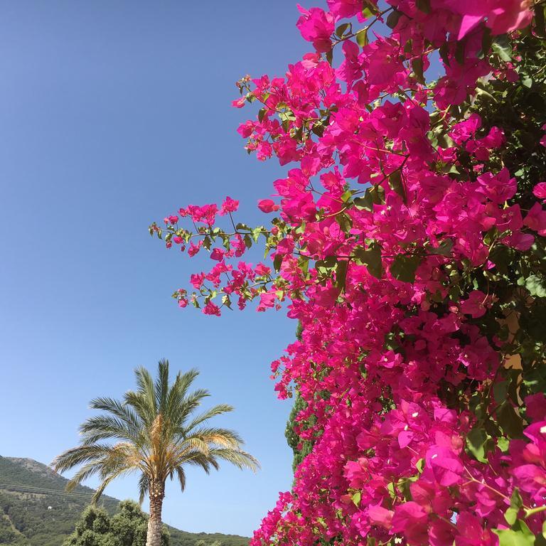 Finca Sonrisa Альхаурин-эль-Гранде Экстерьер фото